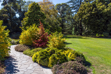 Meadow with flower beds