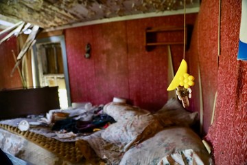 Ruins of a 200 year old home, left to rot by the ocean.