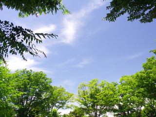 公園の梅雨晴れの空風景