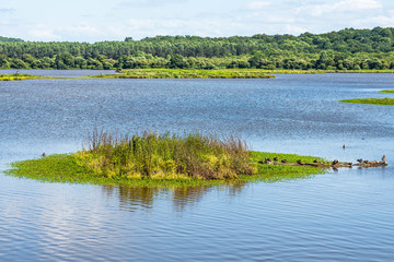 magnifique paysage du parc naturel d'Orx dans les Landes en France