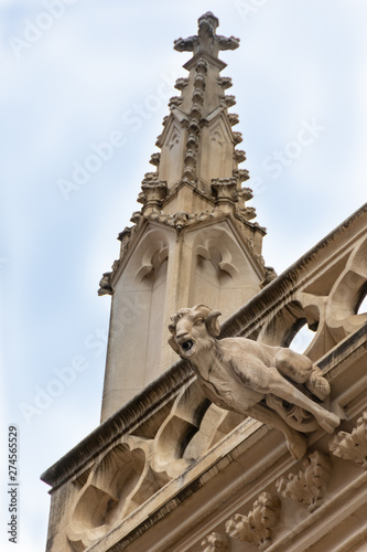 Gargouille De La Cathédrale Saint Jean Lyon France Stock - 