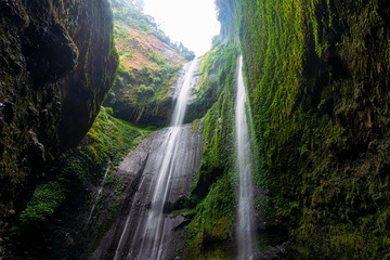 Madakaripura waterfall in East java,Indonesia.