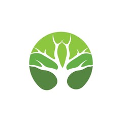 Tree logo template