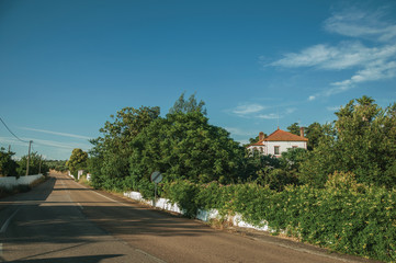 Fototapeta na wymiar Road and cottage amidst trees near Elvas