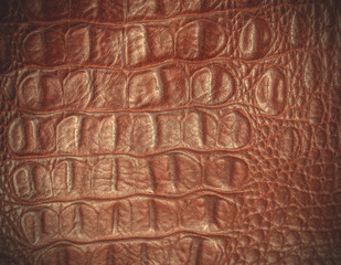 crocodile skin