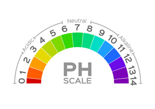 ph scale vector graphic . acid to base