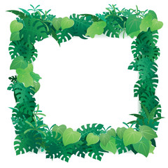 Tropical leaves vector frame.