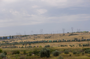 Gold meadow with lonely green trees far away and blue calm tender sky above. Yellow dry grass....