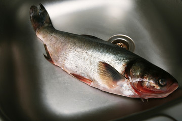 Fresh fish