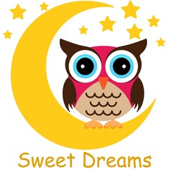 Fototapeta premium Colorful owl on a night moon