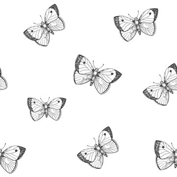 Seamless patterns with outlines of butterflies. Vector illustration