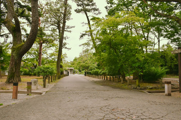 park path