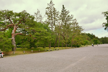 park path