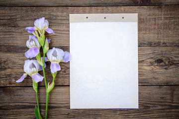 Purple flowers irises and a sheet of paper on a wooden background