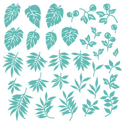 Tropical plant vector illustration material,