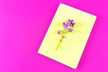 Bright lime notebook and lilac flower on a bright pink background. Place for text. The concept of learning, sketch, herbarium. Flat lay, minimalism, top view, design.