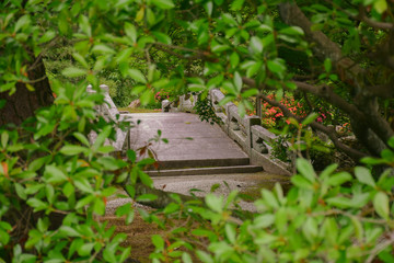 Fototapeta na wymiar garden in kyoto palace