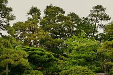 garden in kyoto palace