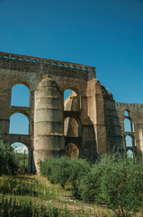 Olive trees in front aqueduct with arches and rectangular pillars