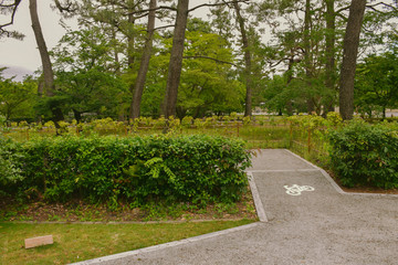path in park