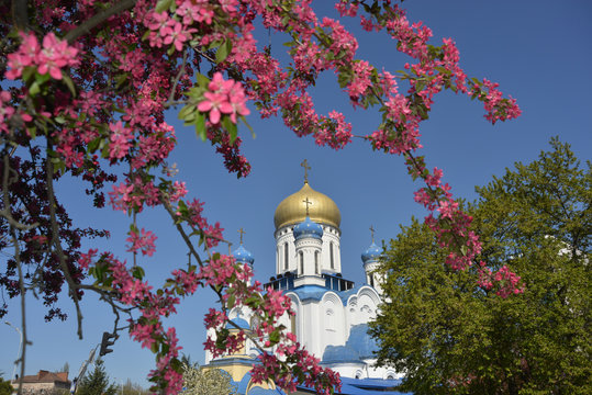 Uzhgorod - the Cathedral of Christ the Savior