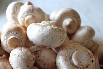 Fototapeta premium Close up view on fresh mushrooms