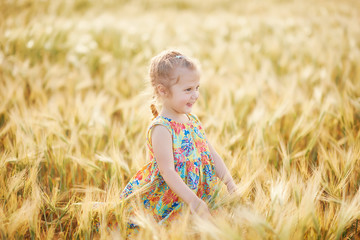 Cute child walking in the wheat golden field on a sunny summer day.  Girl smiling and happy.  Nature in the country