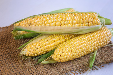 young corn heads on a wooden table