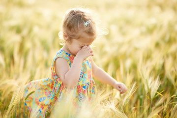 Cute child walking in the wheat golden field on a sunny summer day and crying. Nature in the country