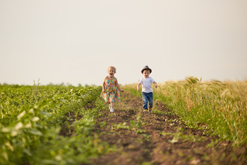 Cute children walking and running on the wheat golden field on a sunny summer day. Girl and boy smiling and happy. Nature in the country. Happy family
