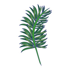 Leaves nature cartoon isolated symbol blue lines