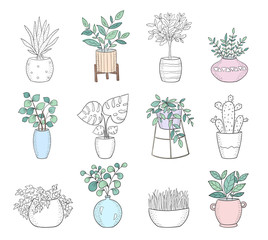 Set of cute house plants in pots