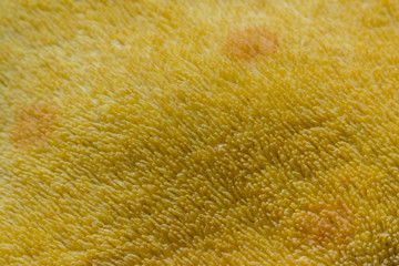 Brown shaggy blanket texture background