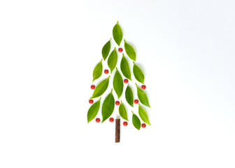 Flat lay Christmas tree with cherry on the white screen isolated from branch and leaves for nature and new year minimal concept
