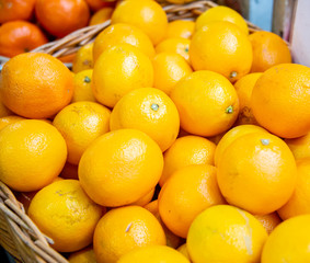 Citrus fruits at the market display stall