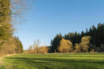Obraz premium Scenic summer landscape with green fields