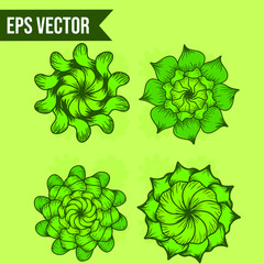 Set Of Green Flower Spirograph