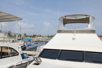 Fototapeta premium island summer trip grand cayman