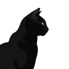 Ilustración de gato de pelo negro. Diseño plano de felino domestico, silueta de animal observando.