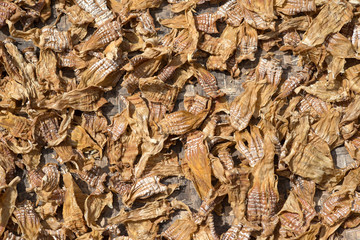 Natural dried herbs of Vietnam