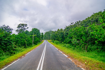 Road surrounded by tropical forest