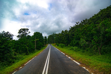 Fototapeta na wymiar Road surrounded by tropical forest