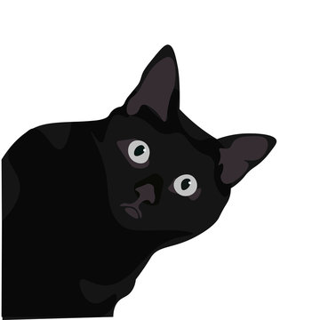 Ilustraci&radic;&ge;n de gato de pelo negro. Dise&radic;&plusmn;o plano de felino domestico, silueta de animal observando.