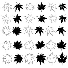 Set of maple leaves silhouettes isolated. Vector maple leaf drawing.