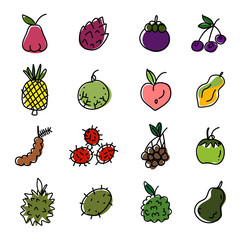 Drawing of various fruit icon vector set.