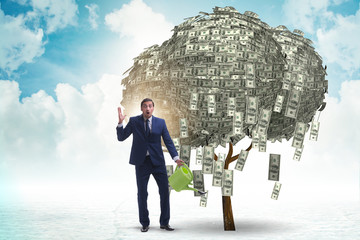 Businessman watering money tree in investment concept