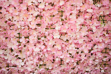 Pink flower texture background