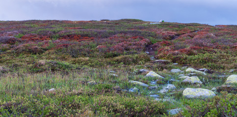 Gaustatoppen, Rjukan, Góry Skandynawskie, Telemark, 1883 m n.p.m, Norwegia, Norway, Norge, Gausta,...