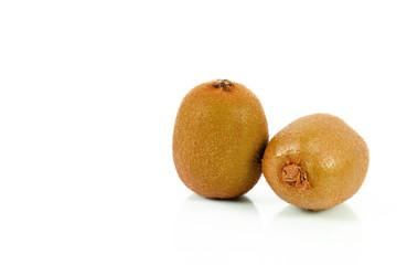 kiwi on white background