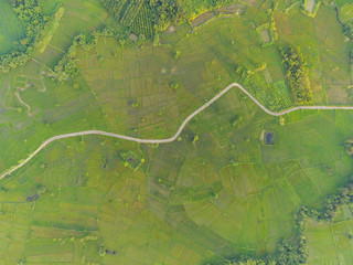 Asphalt road through green fields On the bright sky